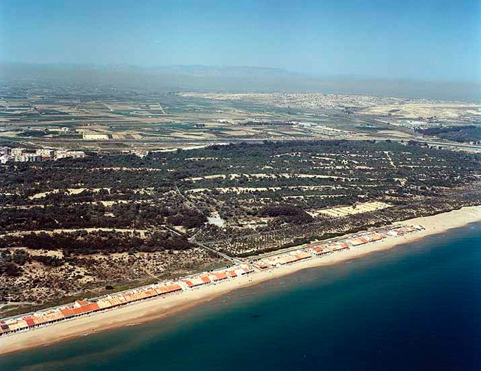 Playa Babilonia, Guardamar del Segura, Alicante / Fuente: mapama.gob.es