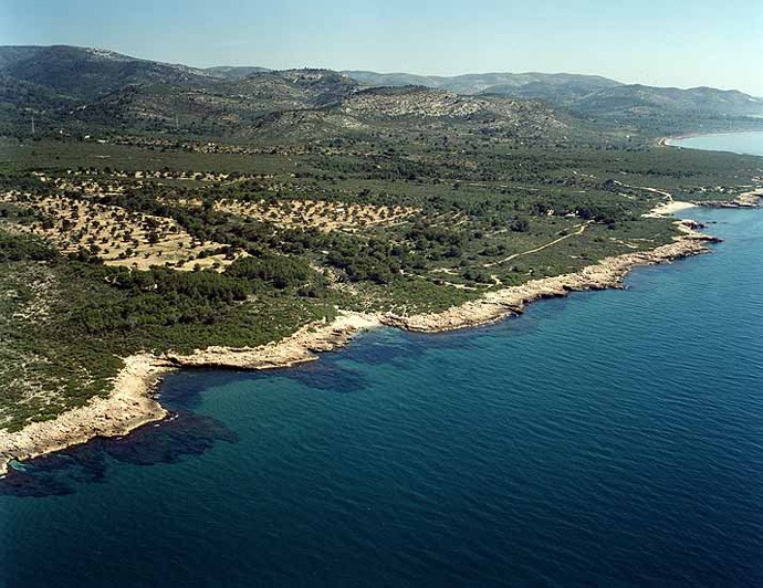 Playa Cala Argilaga, Peníscola/Peñíscola, Castellón / Fuente: mapama.gob.es