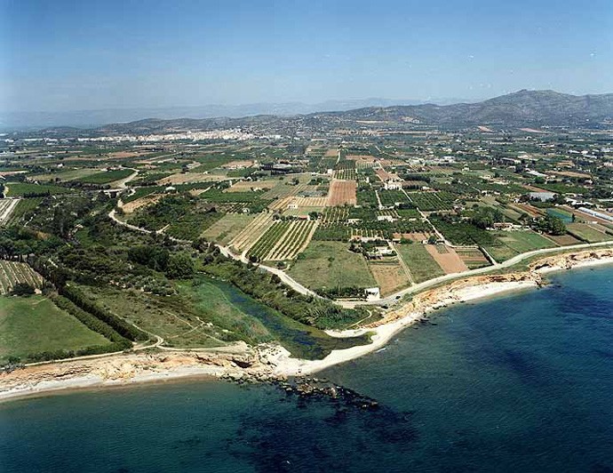 Playa Riu de la Sénia, Vinaròs, Castellón / Fuente: mapama.gob.es
