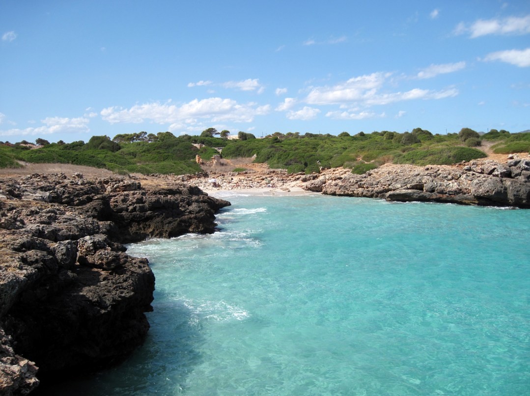 Playa Cala Rafalino, Manacor, Mallorca / Fuente: mapama.gob.es