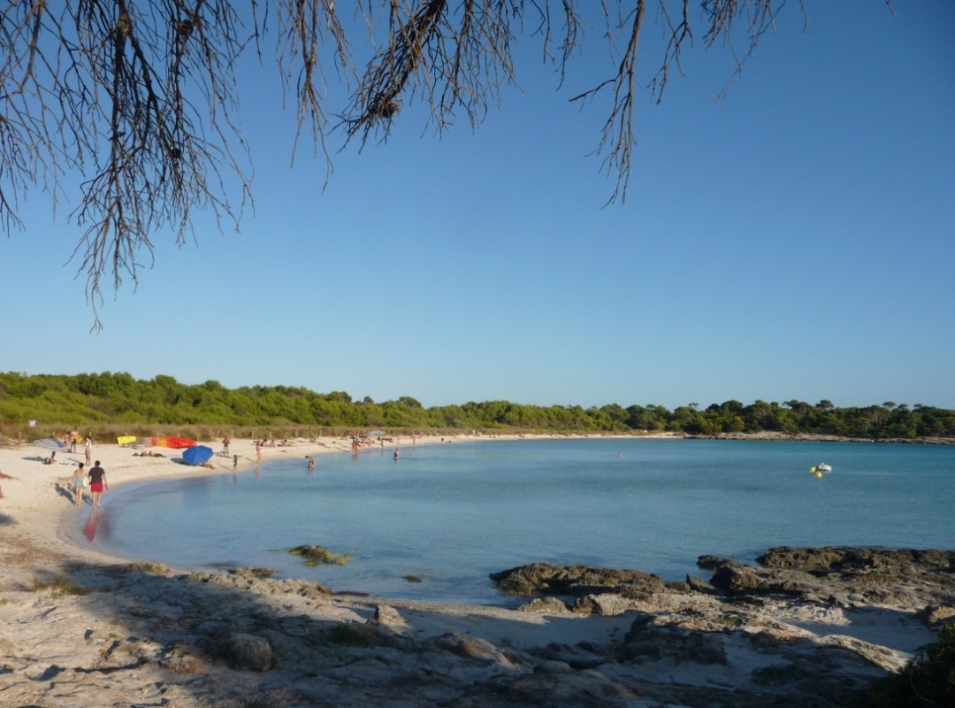 Playa Son Saura, Ciutadella de Menorca, Menorca / Fuente: mapama.gob.es