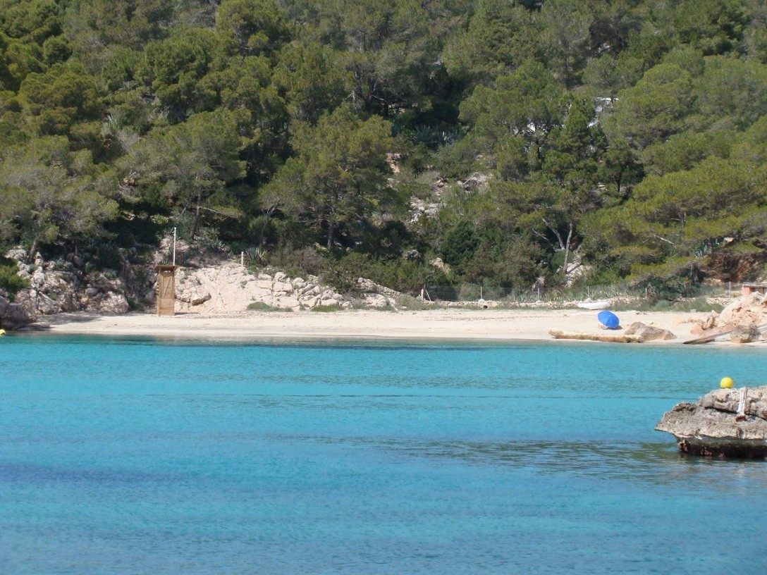 Playa Cala Saladeta, Sant Antoni de Portmany, Ibiza / Fuente: mapama.gob.es