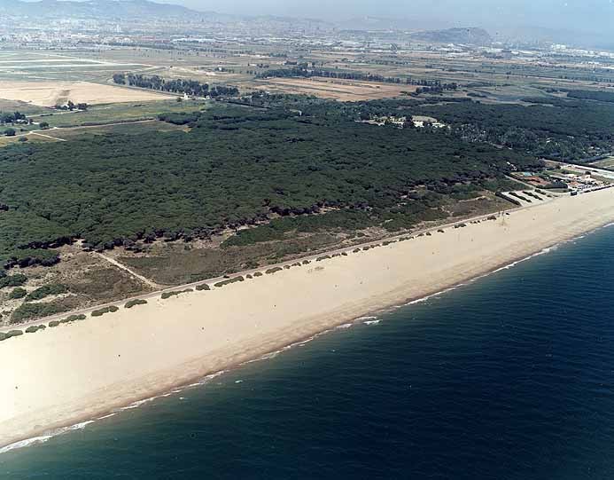 Playa Platja Equipada, El Prat de Llobregat, Barcelona / Fuente: mapama.gob.es