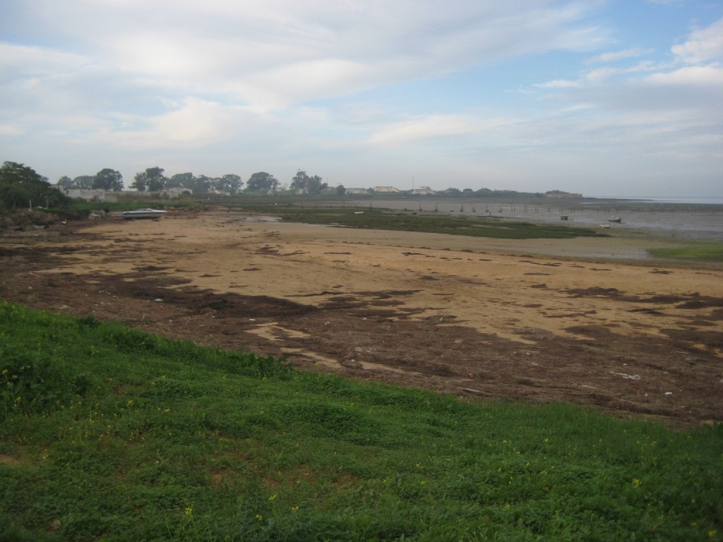 Playa Playa de la Casería, San Fernando, Cádiz / Fuente: mapama.gob.es