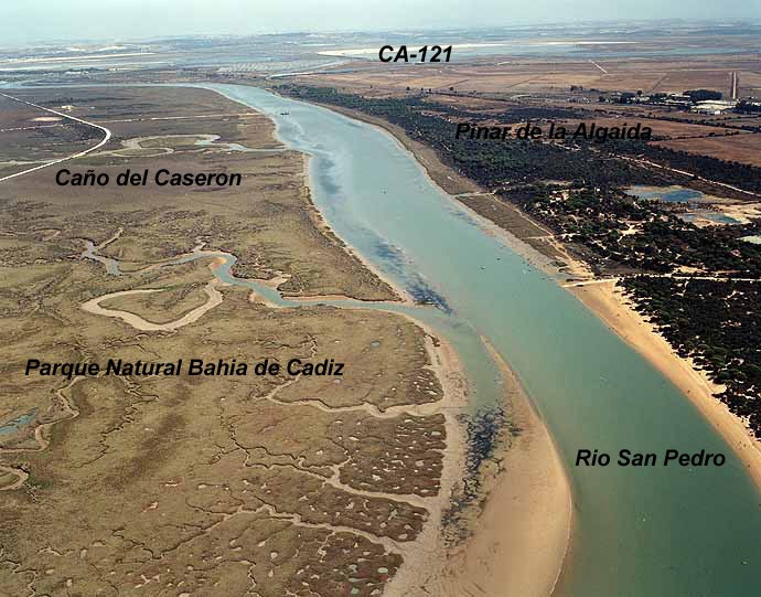 Playa El Conchal, Puerto Real, Cádiz / Fuente: mapama.gob.es