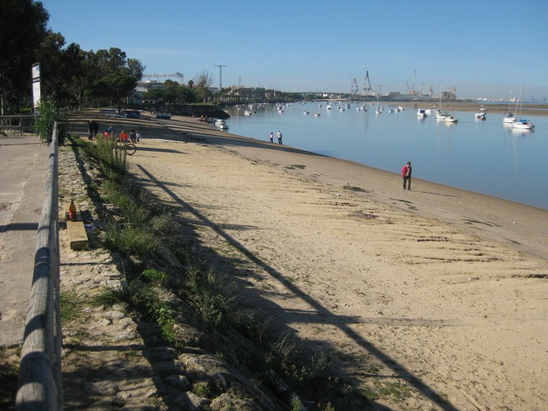 Playa La Ministra, Puerto Real, Cádiz / Fuente: mapama.gob.es
