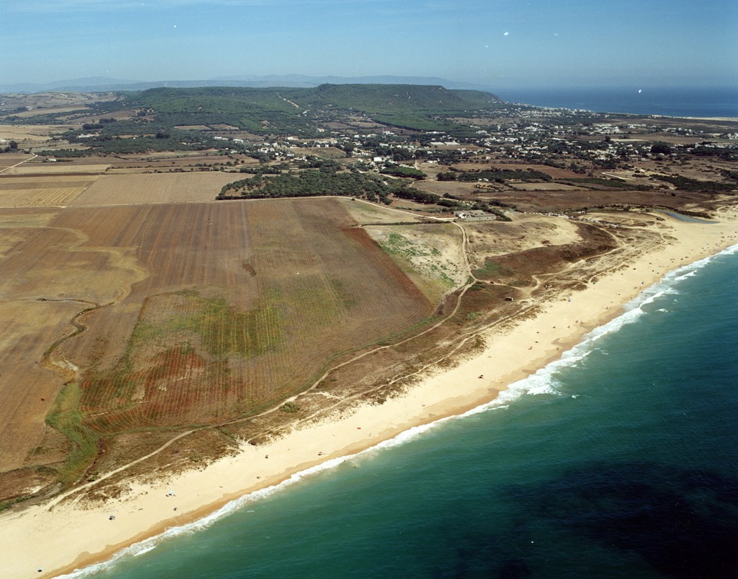 Playa Playa Mangueta, Vejer de la Frontera, Cádiz / Fuente: mapama.gob.es