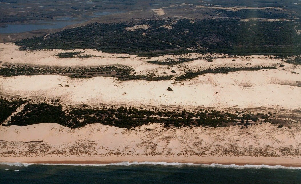Playa Doñana, Almonte, Huelva / Fuente: mapama.gob.es