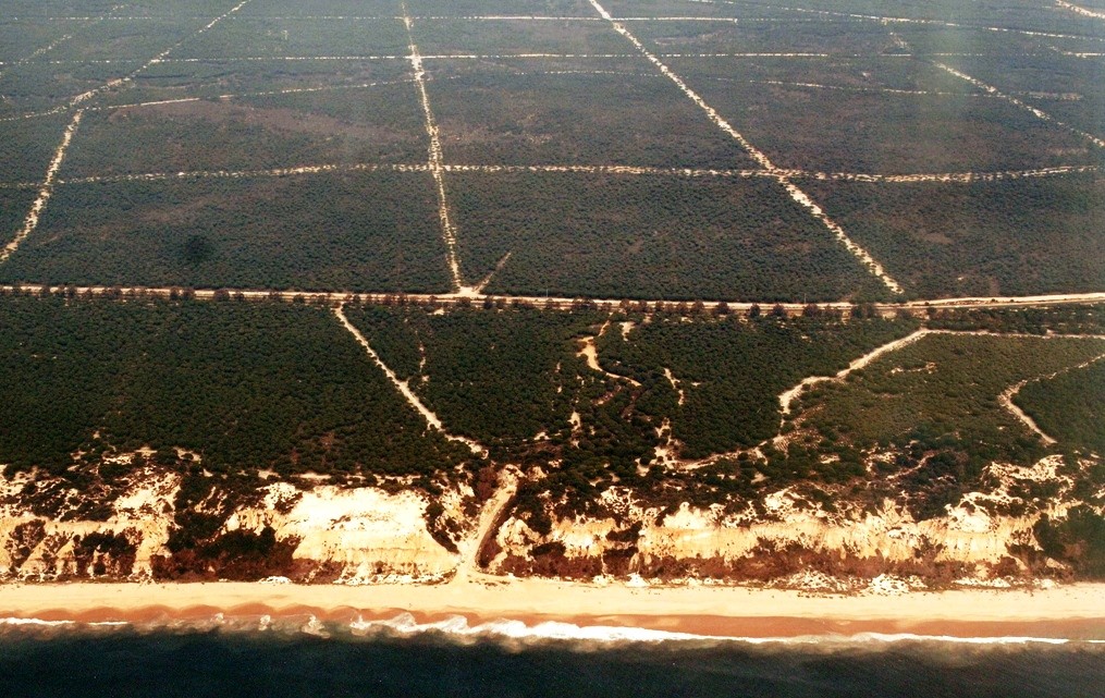 Playa Rompeculos, Moguer, Huelva / Fuente: mapama.gob.es