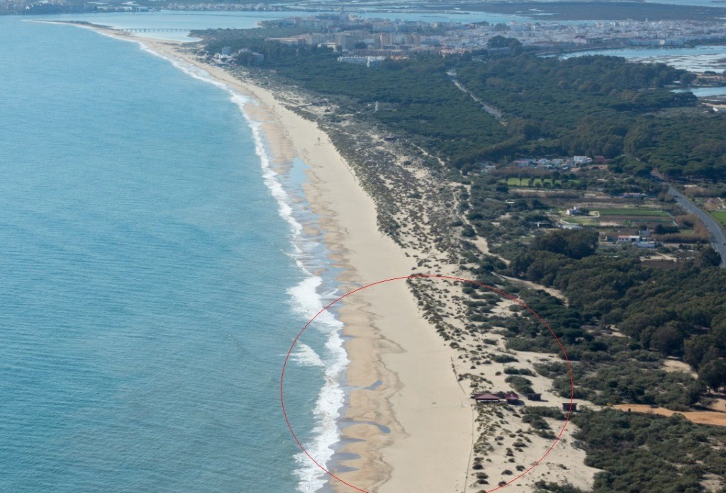 Playa Icona, Isla Cristina, Huelva / Fuente: mapama.gob.es
