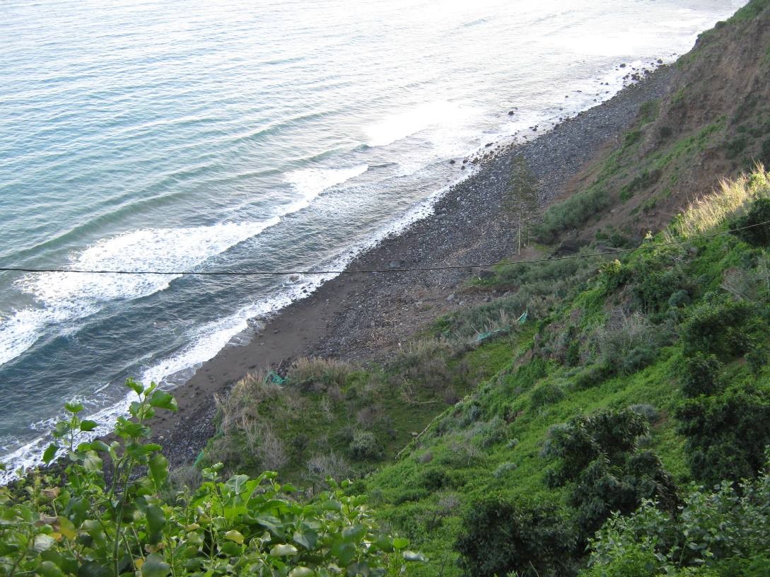 Playa Playa La Grimona, Los Realejos, Tenerife / Fuente: mapama.gob.es