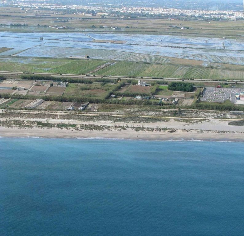 Playa L'Arbre del Gos, Valencia / Fuente: mapama.gob.es