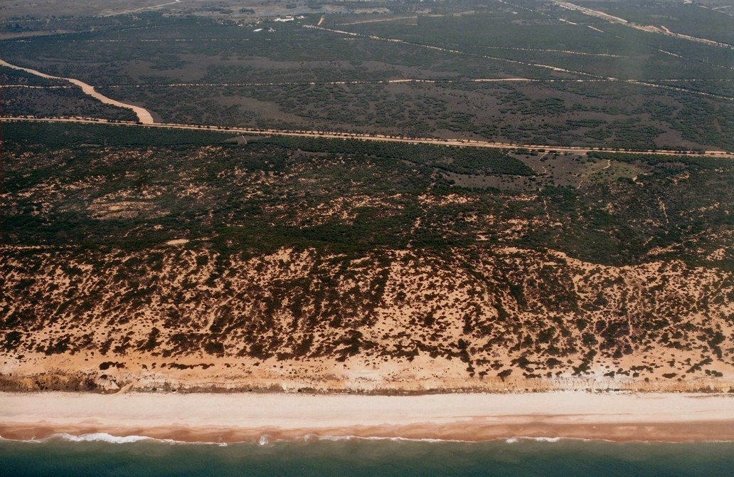 Playa Castilla, Almonte, Huelva / Fuente: mapama.gob.es