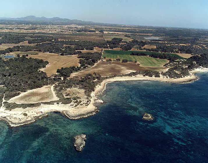 Playa Playeta d'Es Delfí, Ses Salines, Mallorca / Fuente: mapama.gob.es