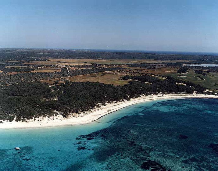 Playa Es Carbó, Ses Salines, Mallorca / Fuente: mapama.gob.es