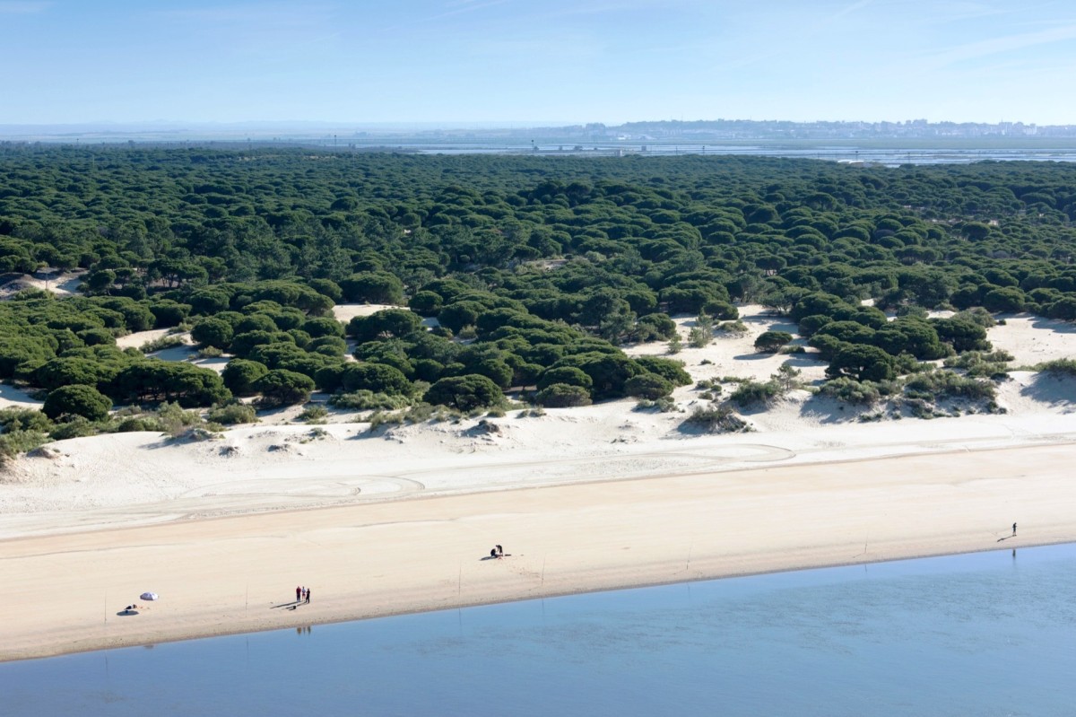 Playa La Bota, Punta Umbría, Huelva / Fuente: mapama.gob.es