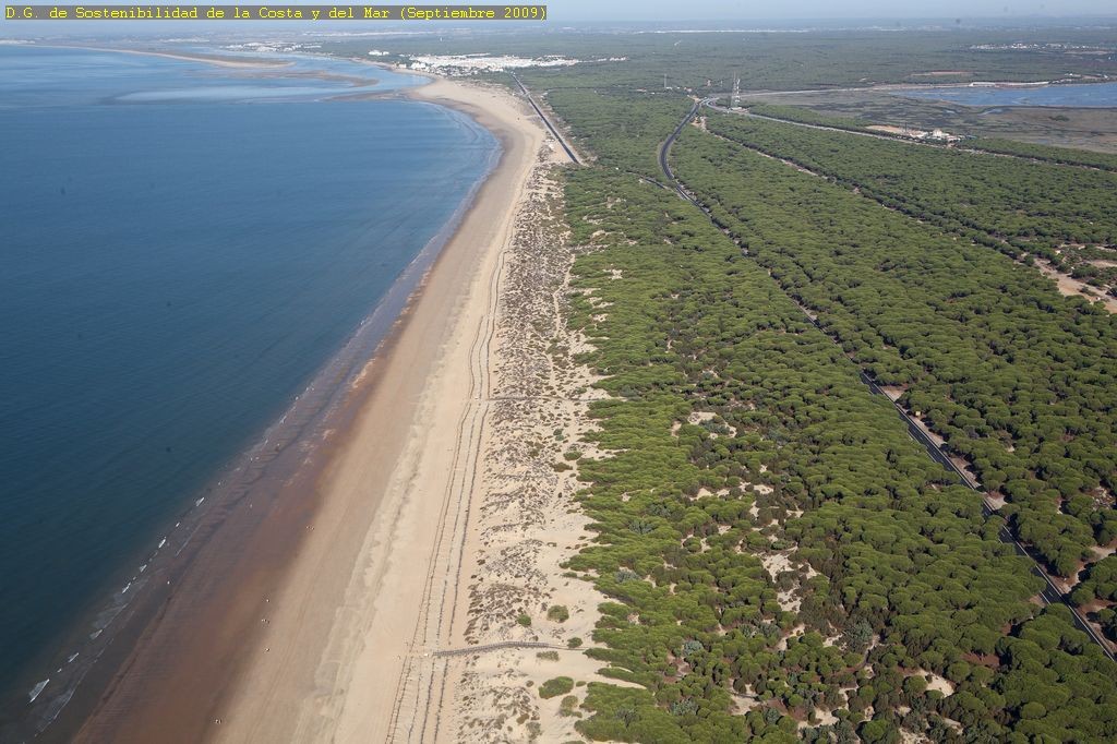Playa Los Enebrales, Punta Umbría, Huelva / Fuente: mapama.gob.es