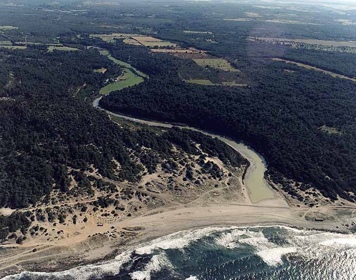 Playa Es Dolç, Santa Margalida, Mallorca / Fuente: mapama.gob.es