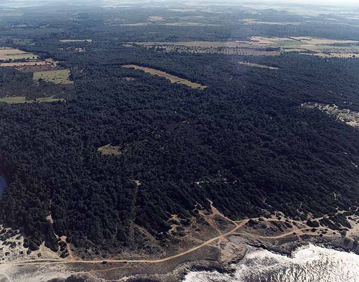 Playa Cala Serralot, Santa Margalida, Mallorca / Fuente: mapama.gob.es