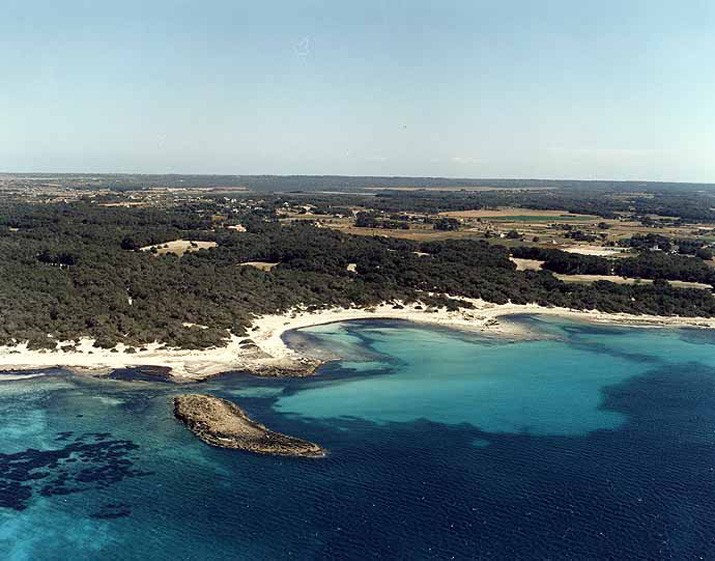 Playa Es Perengons Petits, Campos, Mallorca / Fuente: mapama.gob.es