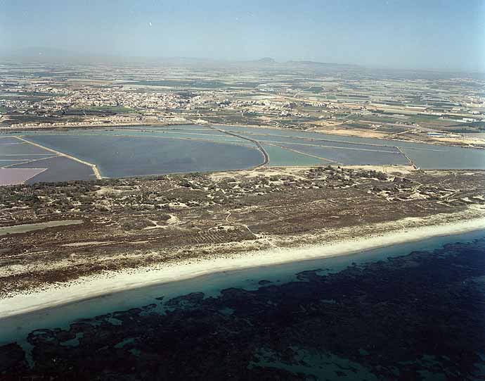 Playa Torre Derribada, San Pedro del Pinatar, Murcia / Fuente: mapama.gob.es