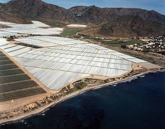 Playa La Calera, Cartagena, Murcia / Fuente: mapama.gob.es