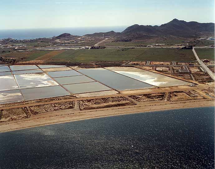 Playa Paraíso, Cartagena, Murcia / Fuente: mapama.gob.es