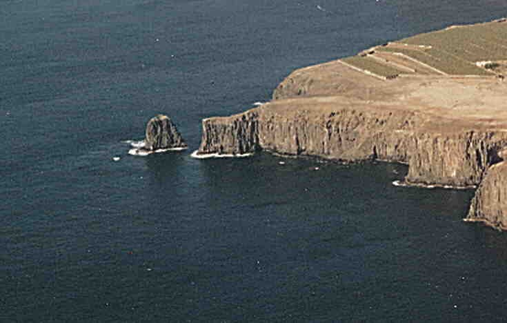 Playa Risco Partido, Gáldar, Gran Canaria / Fuente: mapama.gob.es