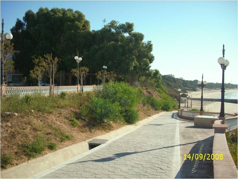 Playa Galeones, Rota, Cádiz / Fuente: mapama.gob.es