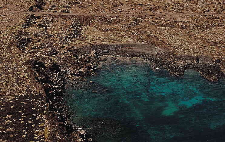 Playa Caleta del Guincho, Haría, Lanzarote / Fuente: mapama.gob.es