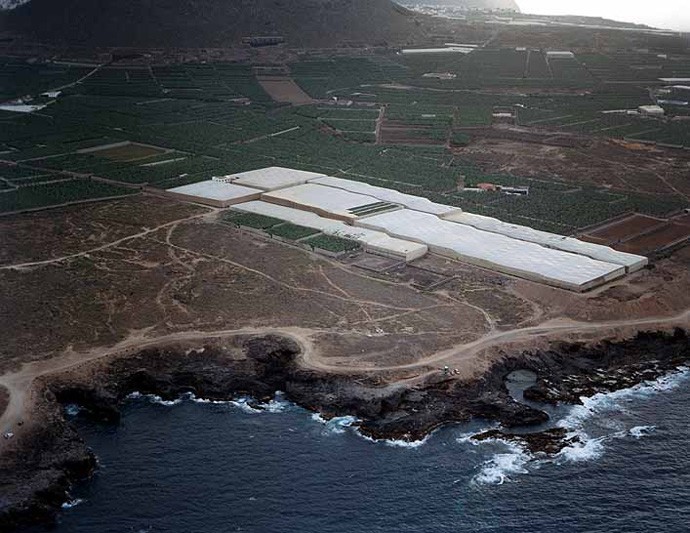 Playa Charco de la Araña, Los Silos, Tenerife / Fuente: mapama.gob.es