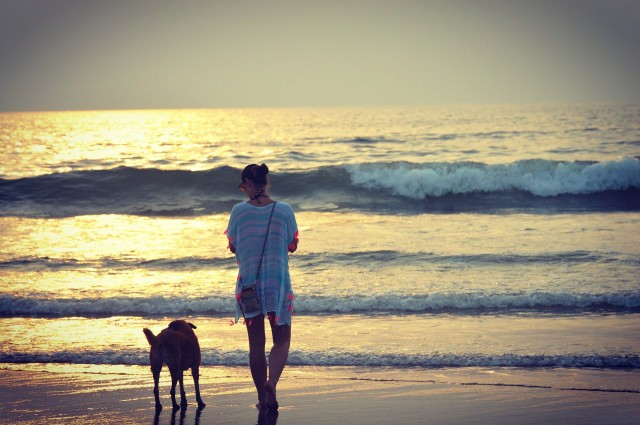 Passeios à beira-mar / pixabay.com/es/users/the_darker_knight-4315932/