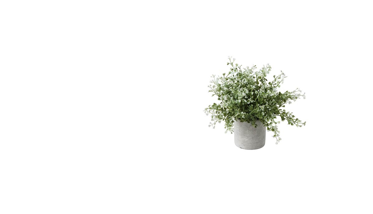 planta1