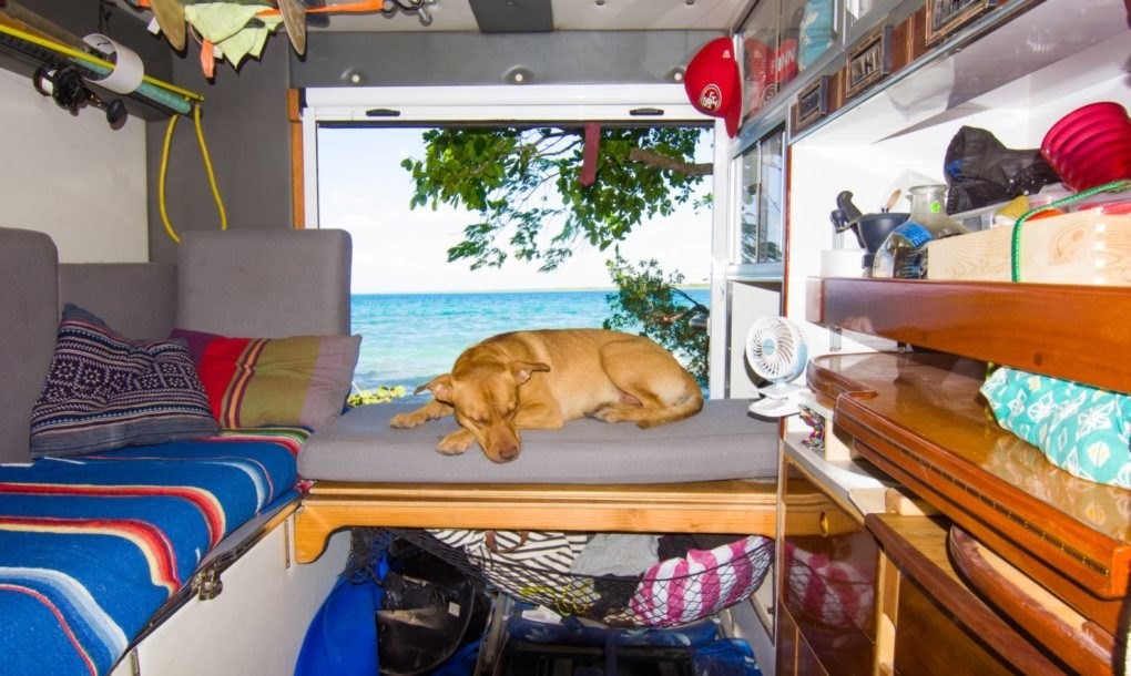 Dow compró la ambulancia en 2016 por unos 2.400 euros