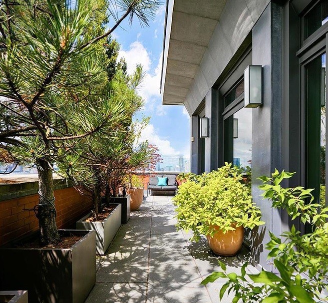 Con vegetación y zona de relax