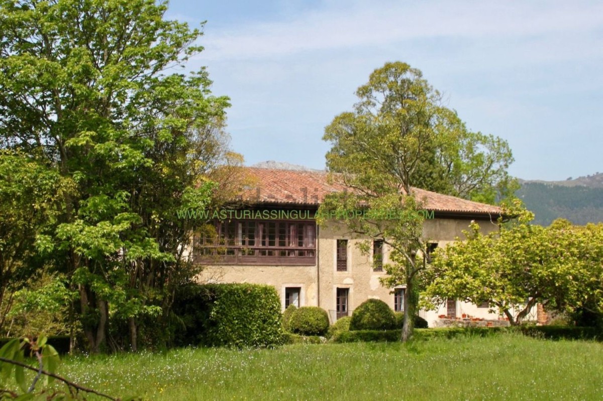 Se vende un espectacular palacio del siglo XVIII con cabellerizas y capilla en Asturias por 2,4 millones