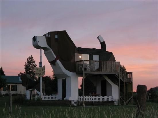 Si te gustan los perros, esta casa es para ti