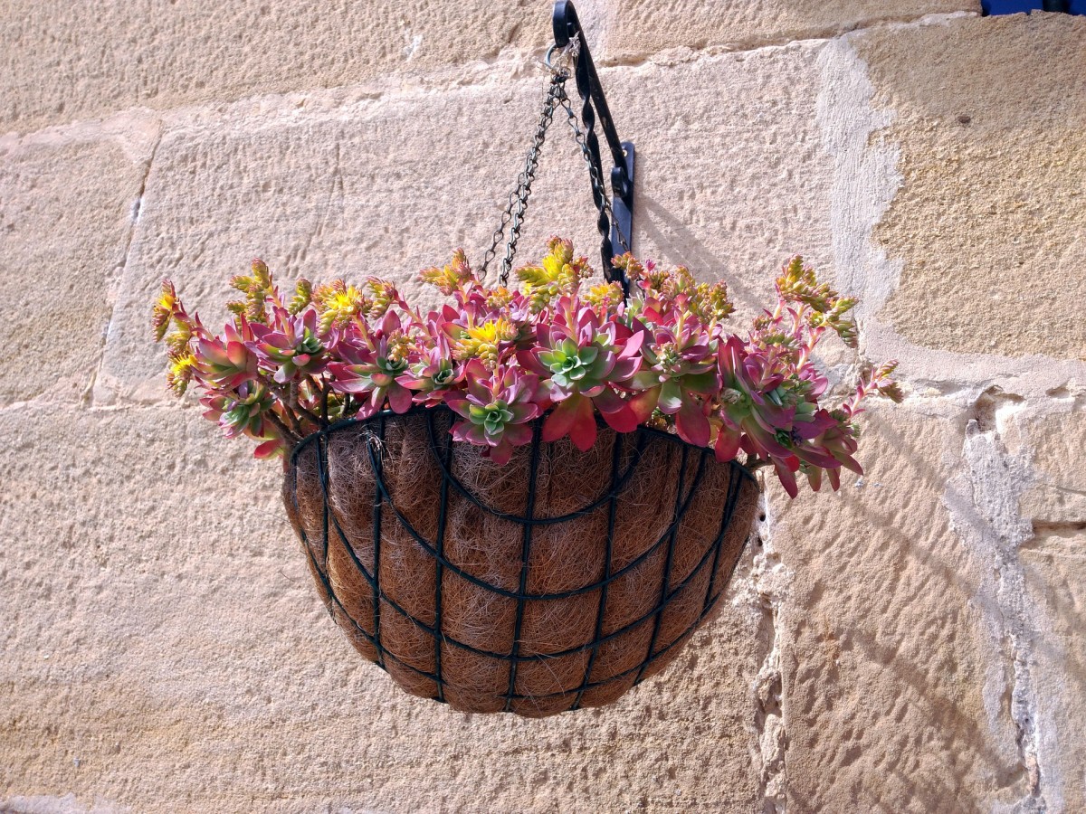 Dale a tu casa un nuevo aire con estos trucos de decoración originales y muy baratos