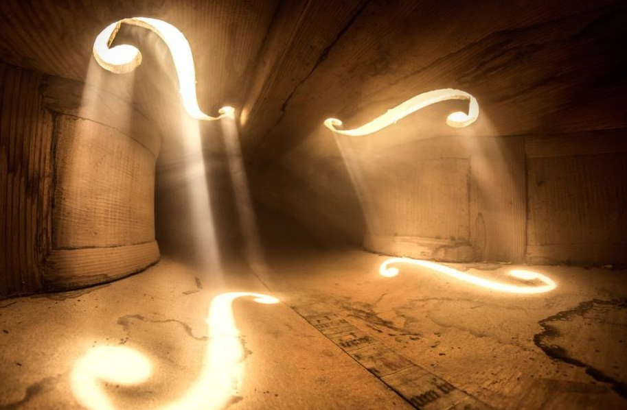 Las fotos de un violonchelo se han hecho virales en Twitter… y no te imaginas el porqué