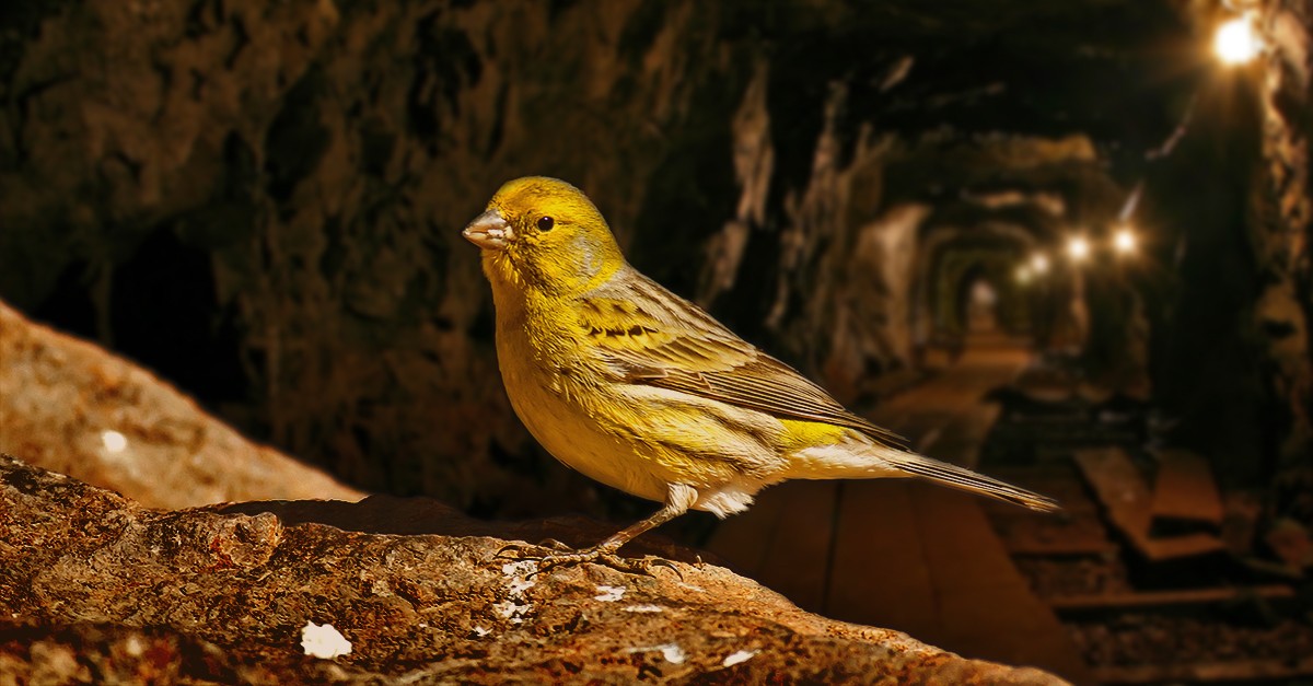 idealista e IE Exponential Learning lanzan un desafío: encontrar los KPI que detecten futuras burbujas inmobiliarias