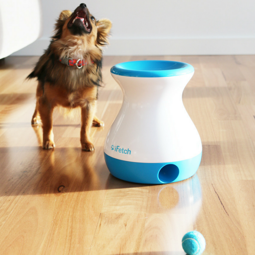 Ocho consejos prácticos que te ayudarán a preparar tu casa para vivir con un perro