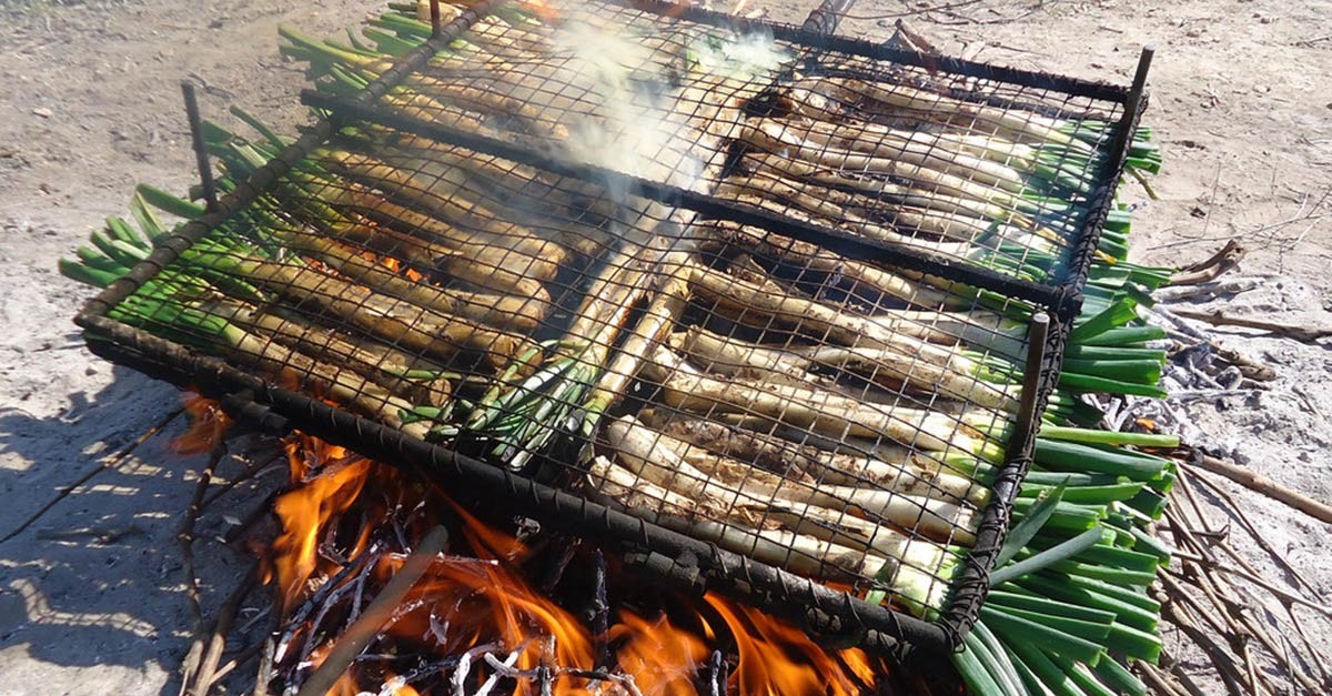 Calçots finns i den katalanska regionen Calçots finns i den katalanska regionen / Flickr