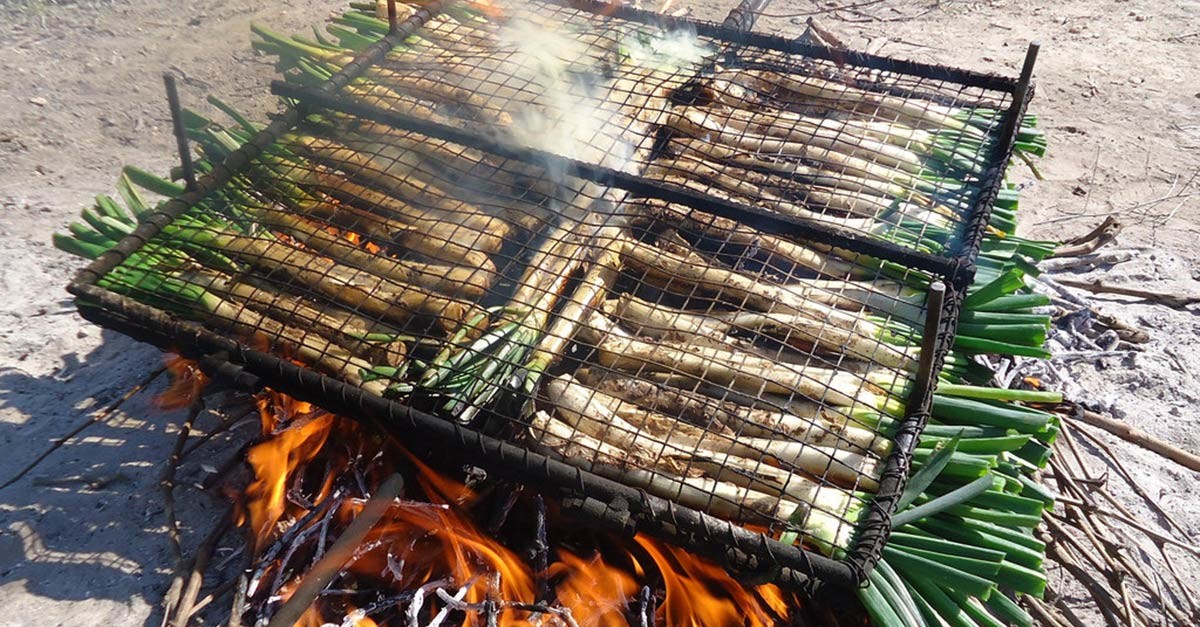 Calçots zijn te vinden in de Catalaanse regio / Flickr