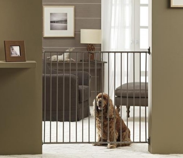 Ocho consejos prácticos que te ayudarán a preparar tu casa para vivir con un perro