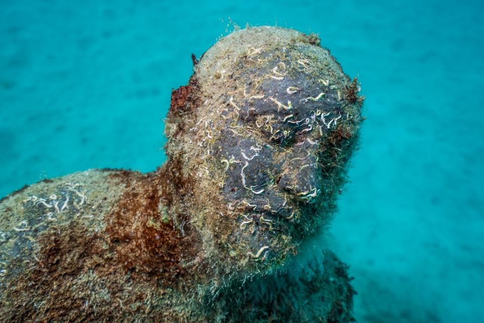 museo-atlantico_lanzarote_hybrid-forest_growth_04438_jason-decaires-taylor_sculpture