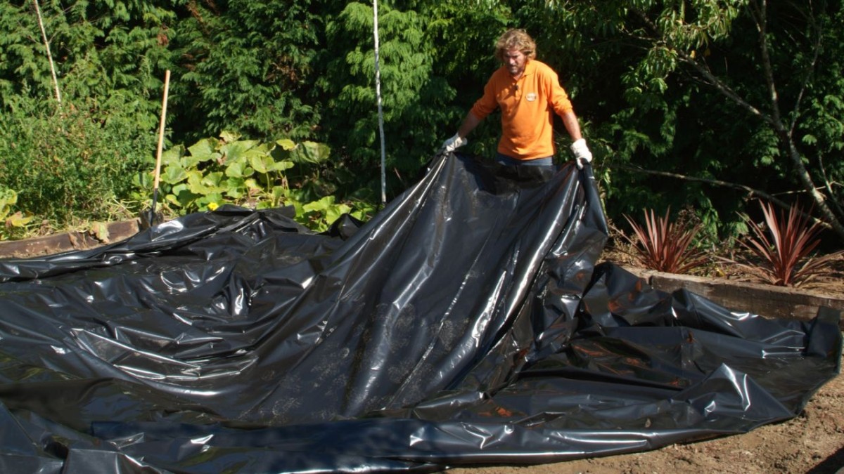 Cómo construir un estanque paso a paso