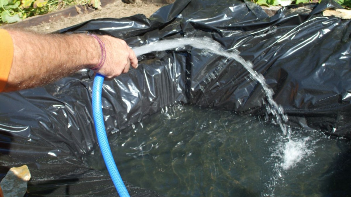 Cómo construir un estanque paso a paso