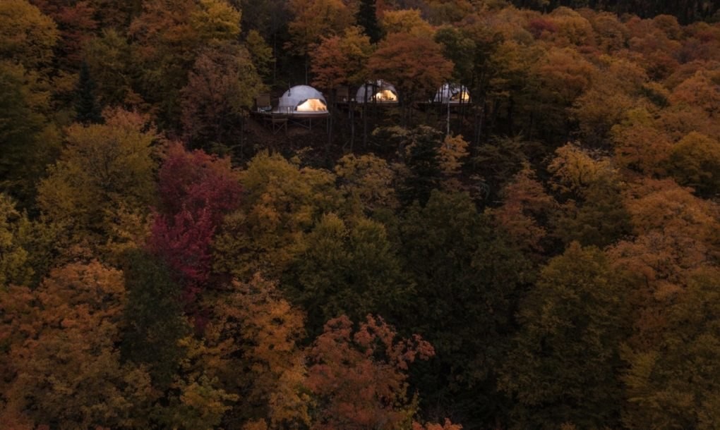 Bienvenido al hotel de tres cápsulas posiblemente con las mejores vistas al bosque