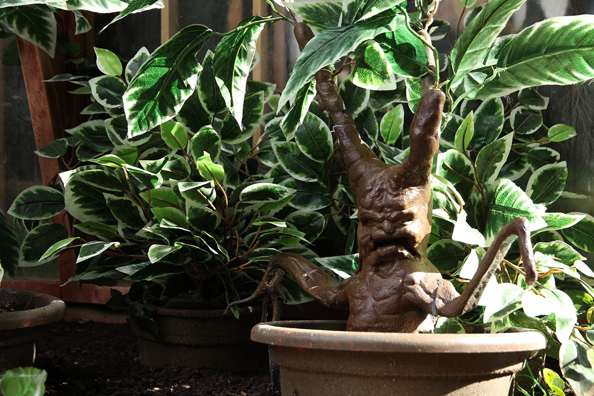 harry_potter_jardin_botanico_01