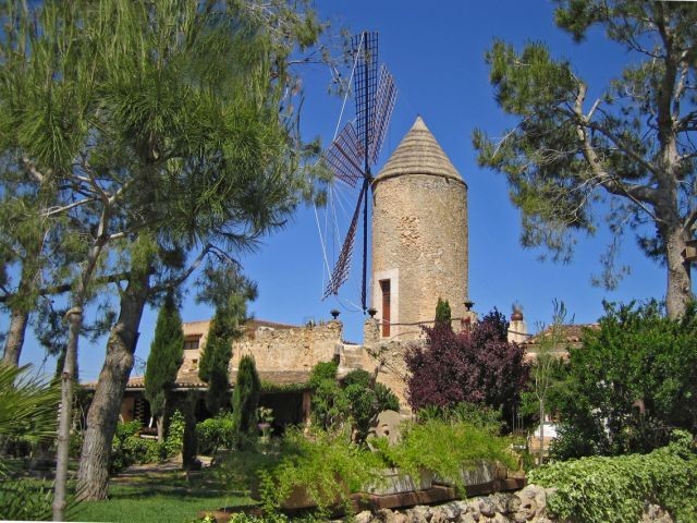 Le moulin entouré du jardin 